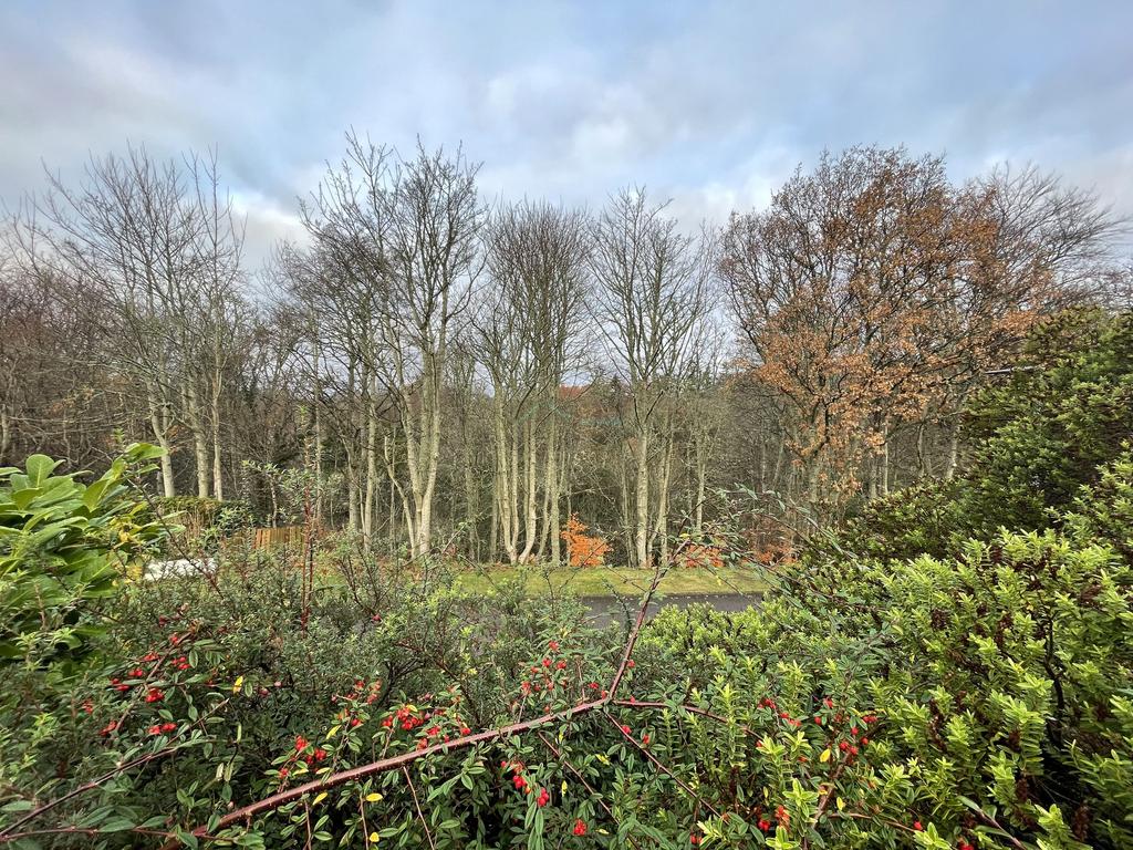 Garden views.JPG