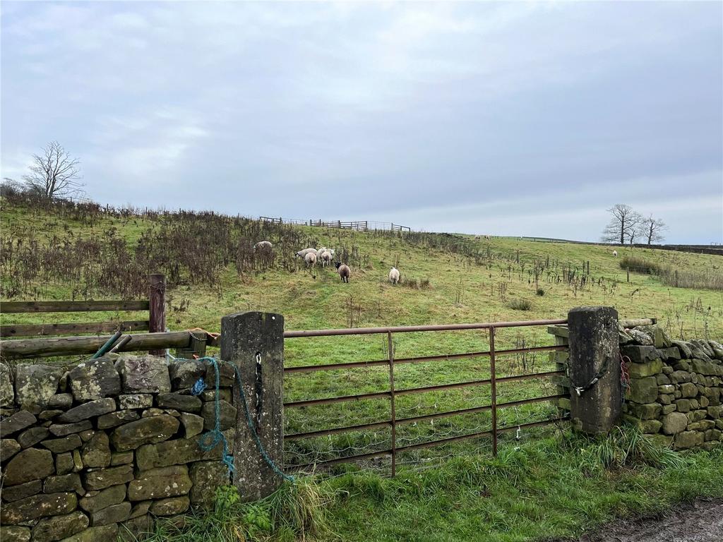 Roadside Access