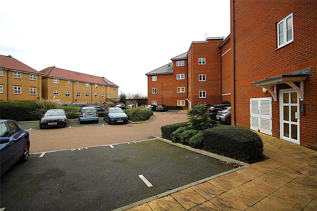 Picture 15