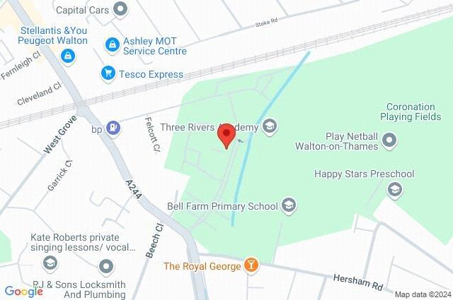 Google Maps Image