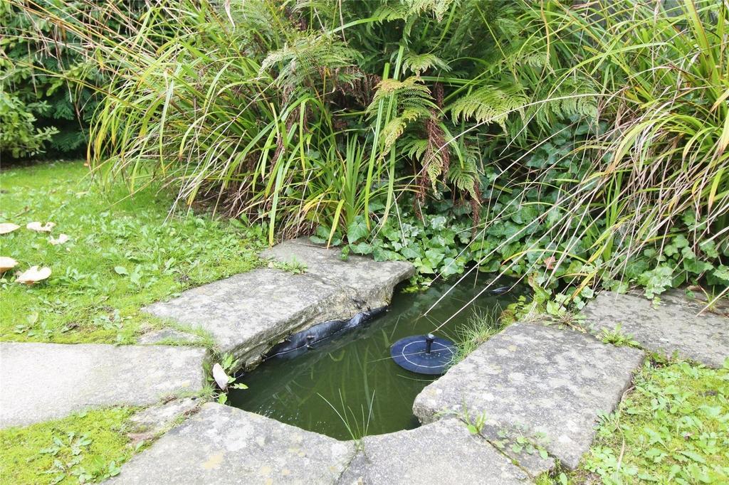 Garden Pond