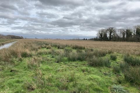 Farm land for sale, 9.83 Ha (24.29 Ac) Grazing Marshes, Lower Road, Rockland St. Mary, Norwich, Norfolk, NR14