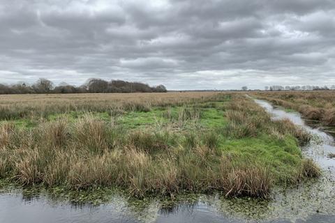 Farm land for sale, 9.83 Ha (24.29 Ac) Grazing Marshes, Lower Road, Rockland St. Mary, Norwich, Norfolk, NR14