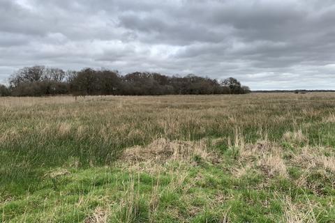 Farm land for sale, 9.83 Ha (24.29 Ac) Grazing Marshes, Lower Road, Rockland St. Mary, Norwich, Norfolk, NR14