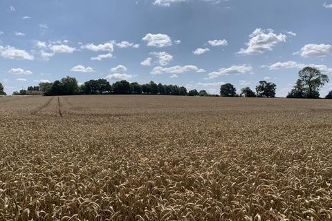 Farm land for sale, LOT 2 - 11.94 Ha (29.50 Ac) Arable Land, Hemblington Road, Blofield, Norfolk, NR13 4LT