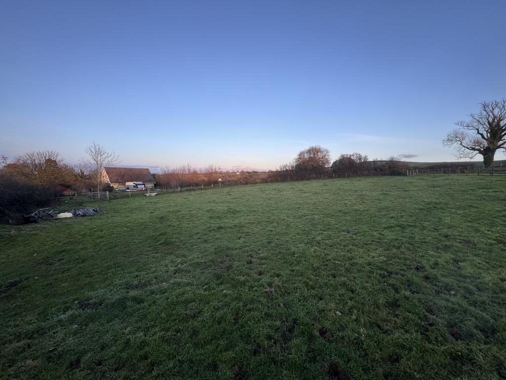 The land