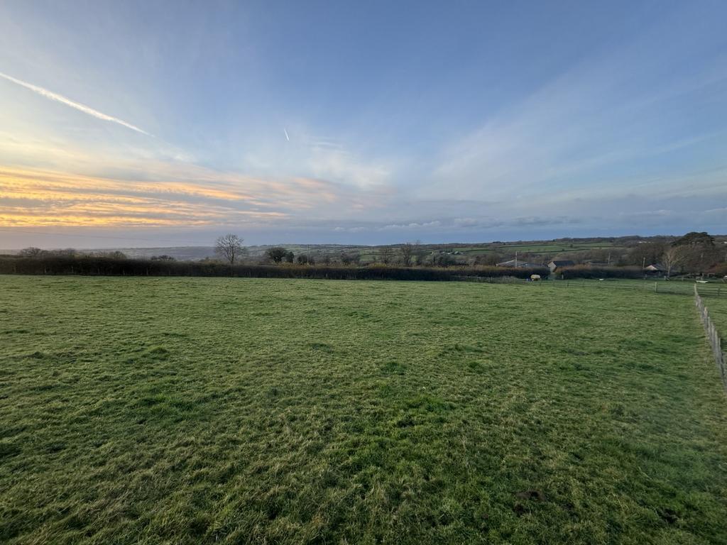 The land