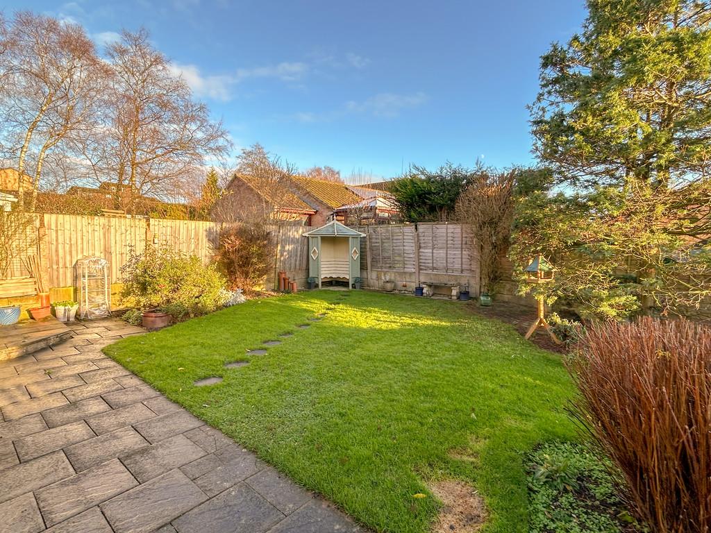 Garden 1