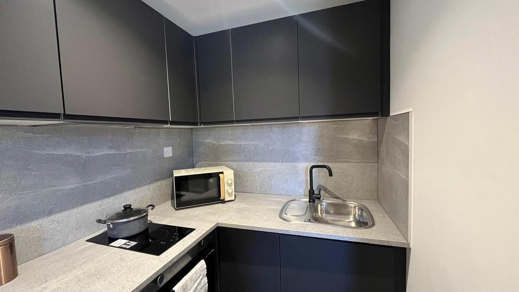 Modern kitchen featuring sleek black cabinetry ...