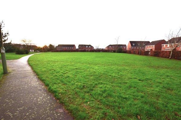 Open greenery to the front