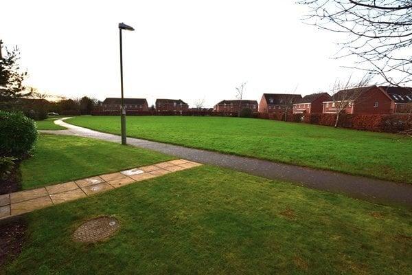 Front garden and open greenery