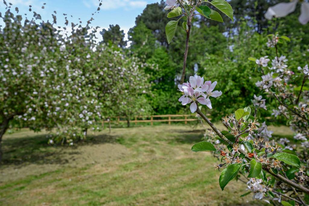 Garden Lifestyle