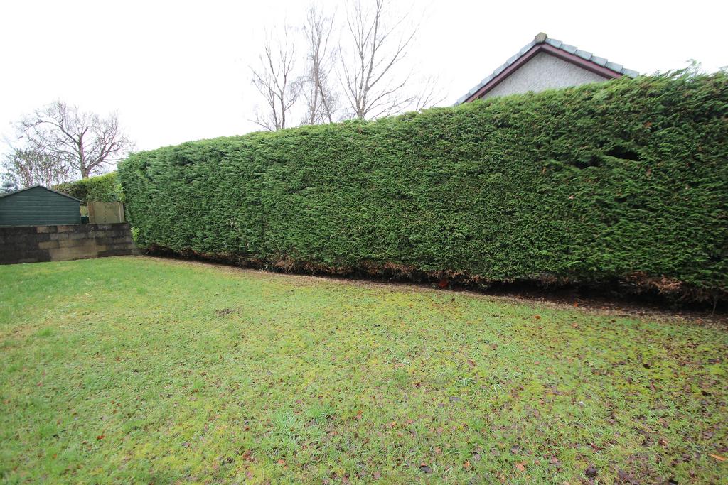 Garden 3