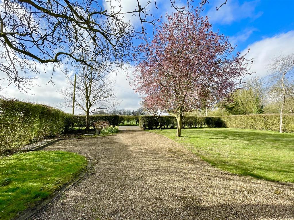 Front and driveway
