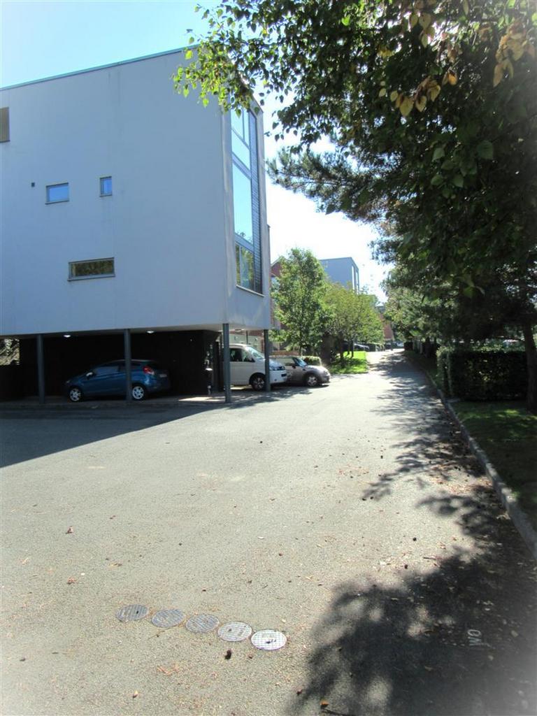 Carriges outside.jpg
