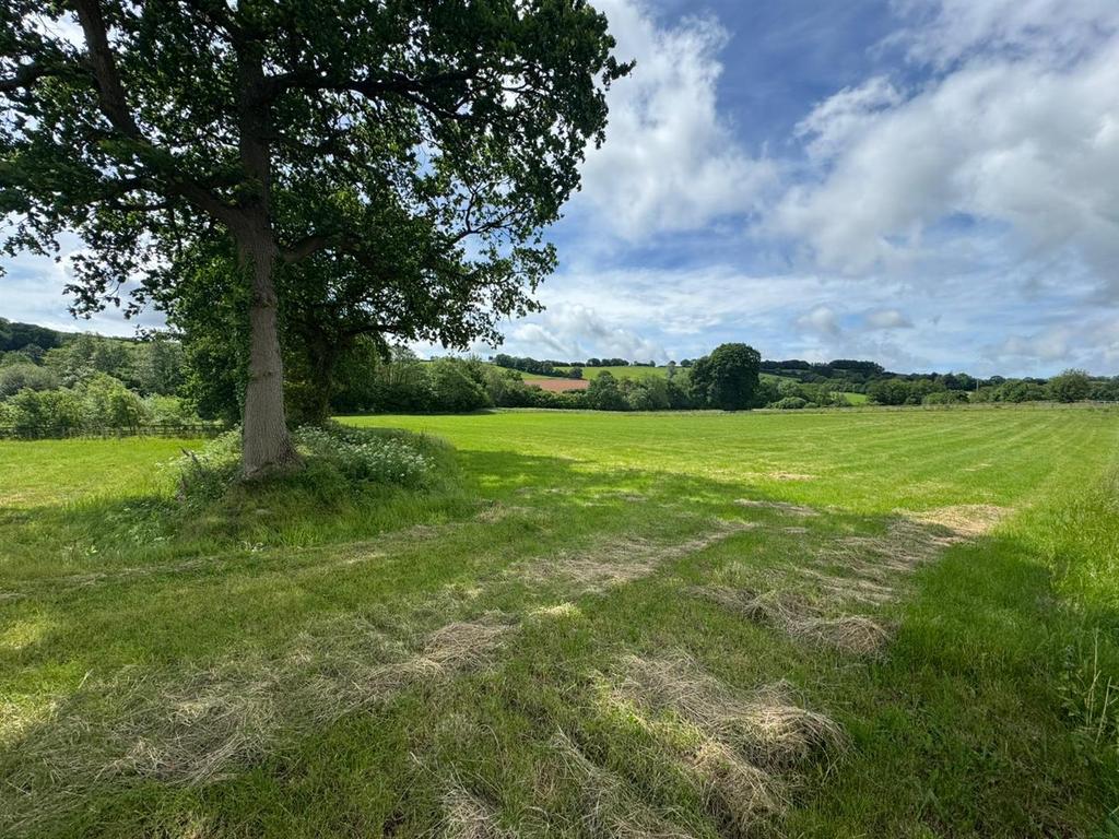 11 Acre Land