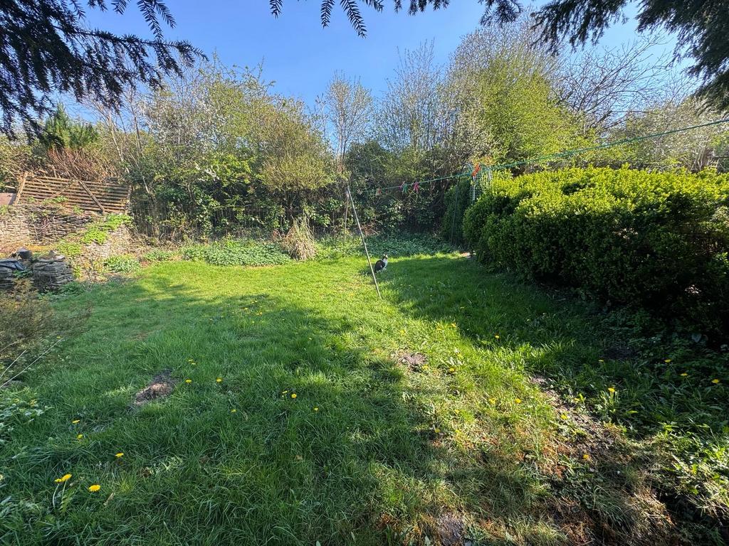 Garden (third image)