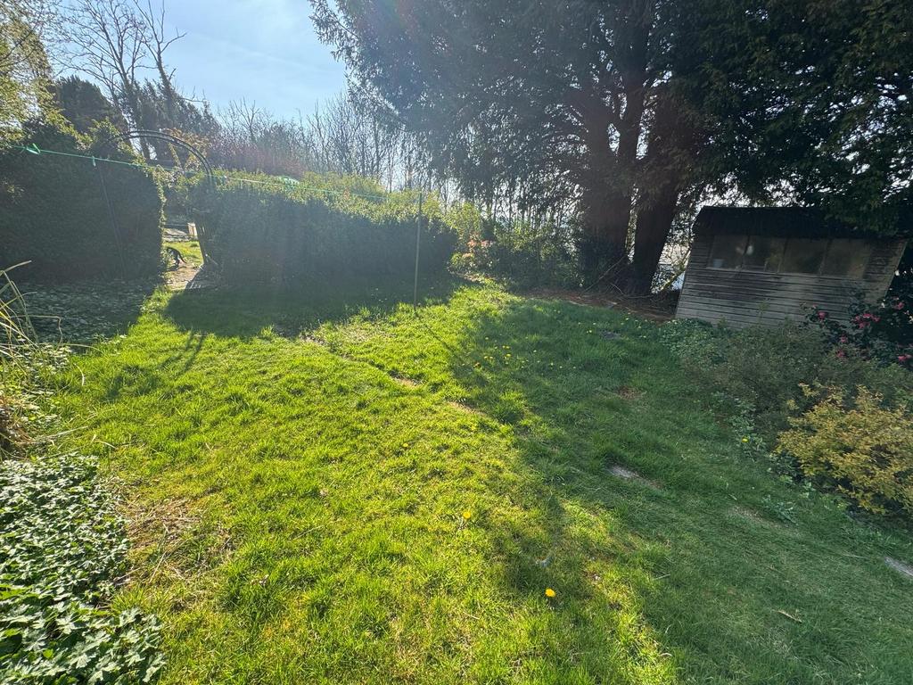 Garden (second image)