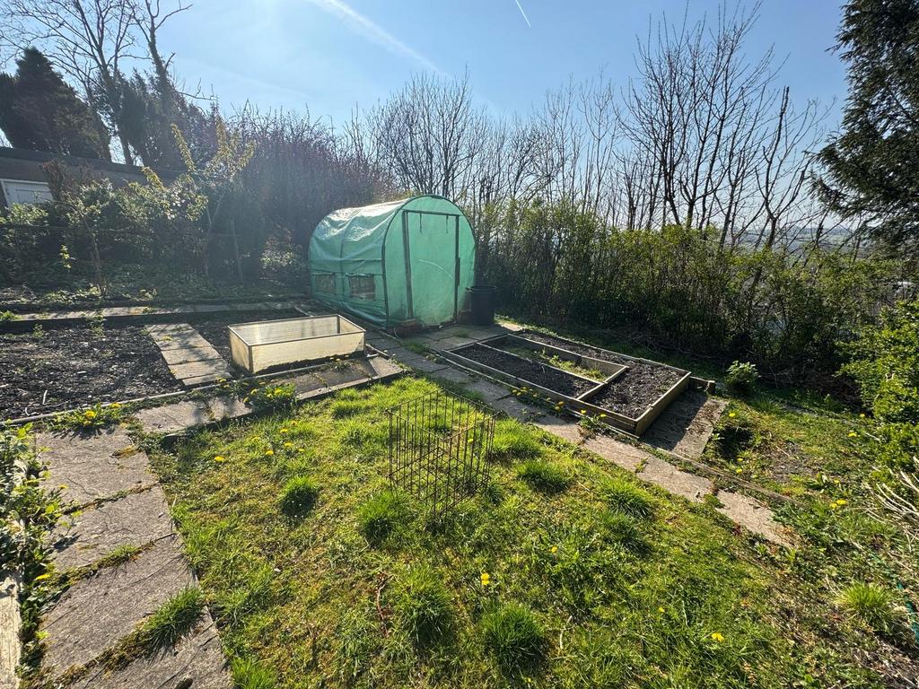 Vegetable garden