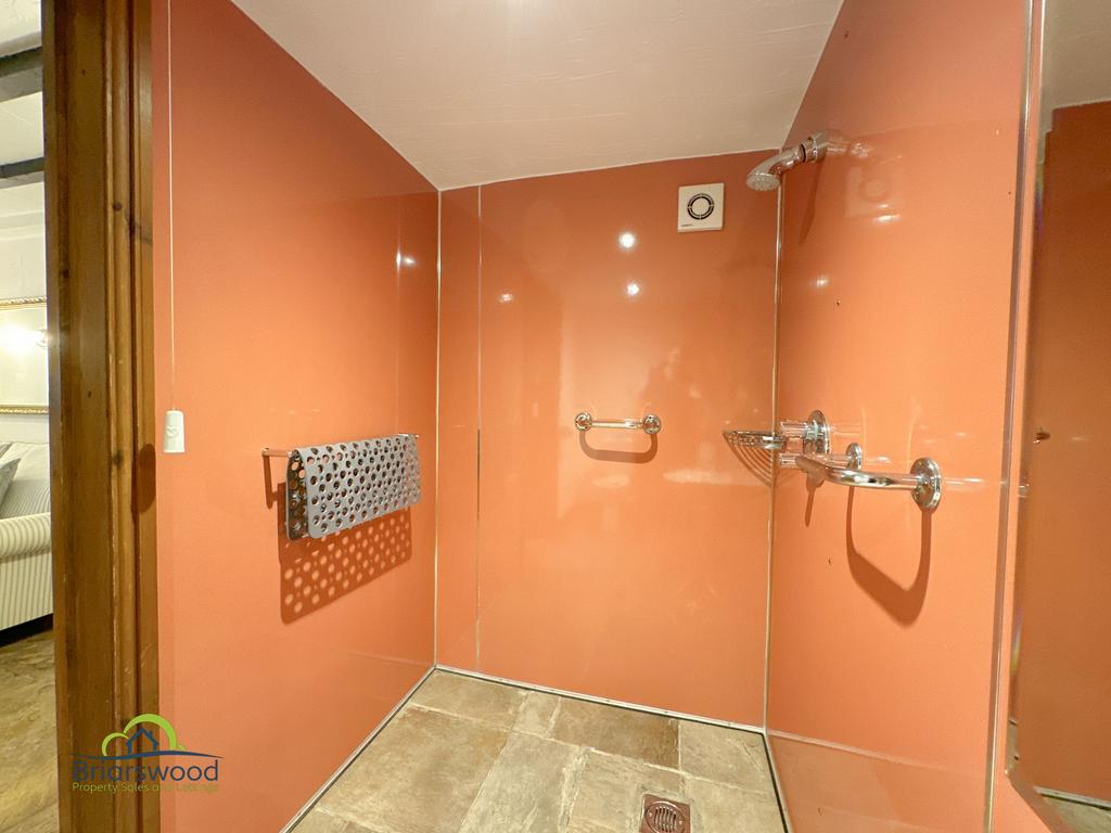 Shower Room (Downstairs)