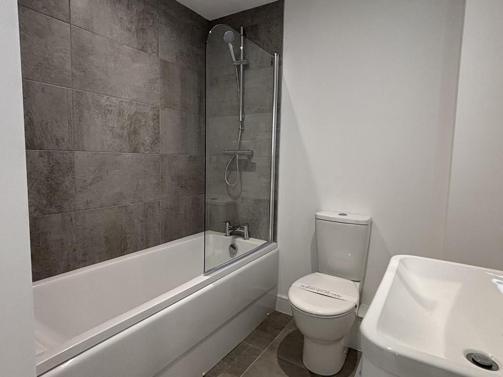 Img 1943