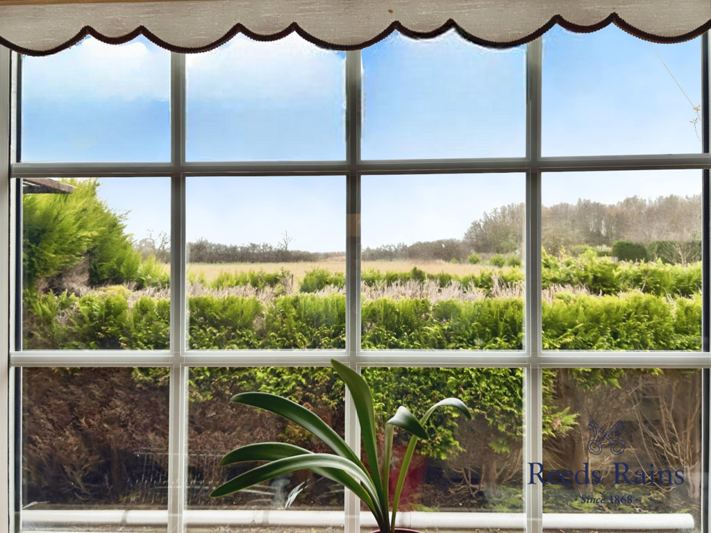 Kitchen Views