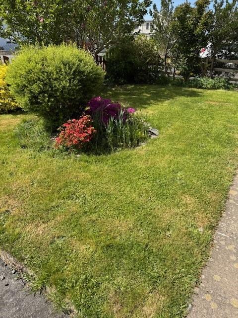 Tara Garden.jpg