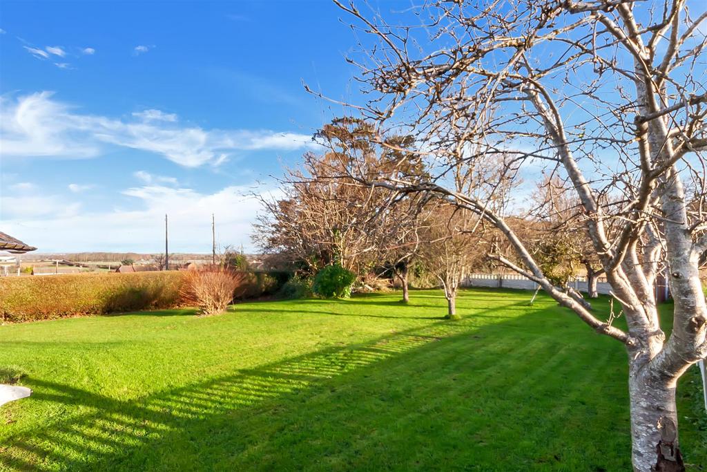 Garden 8.jpg
