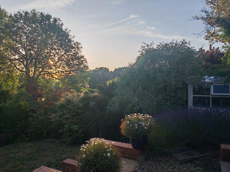 Vendor Garden
