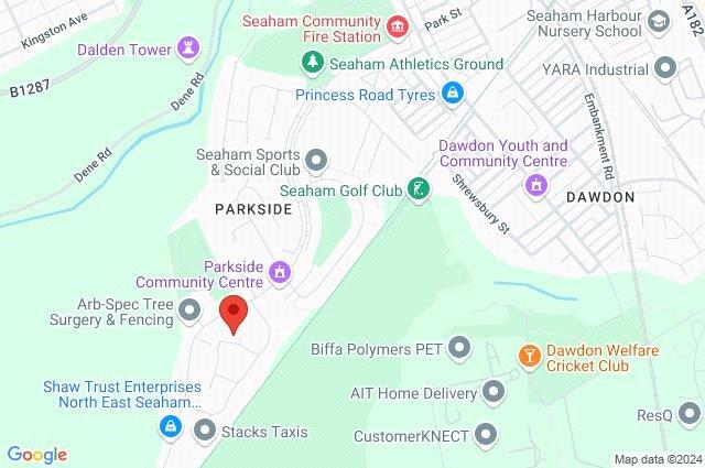 Google Maps Image