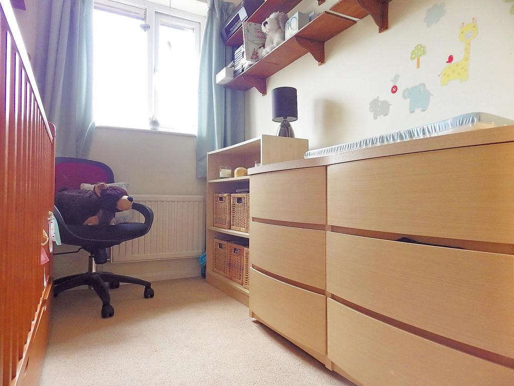 Picture 5