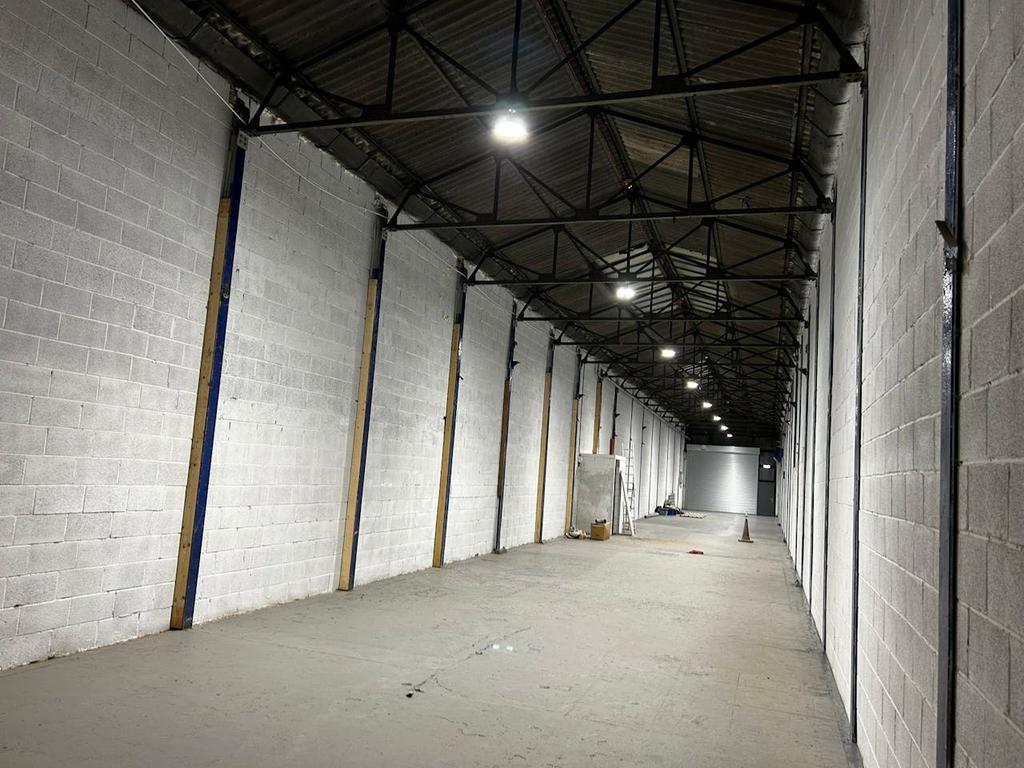 P7.jpg