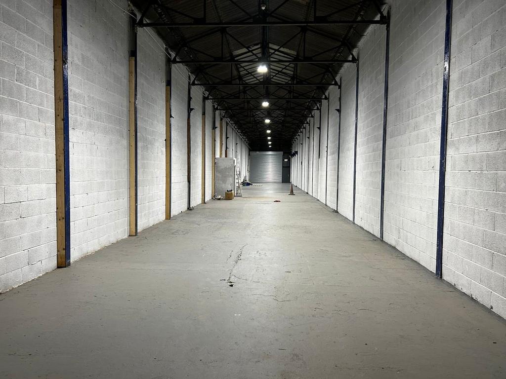 P4.jpg