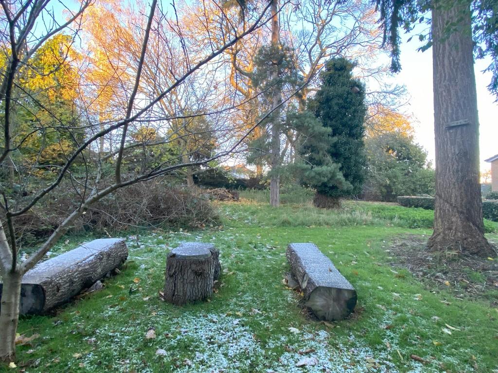 Communal grass and woodland garden