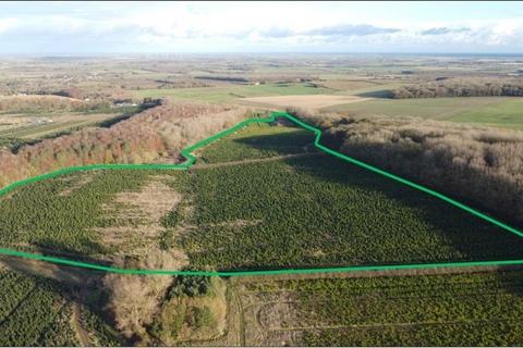 Land for sale, Lot 3 - Home Farm, London Road, Tathwell, Louth