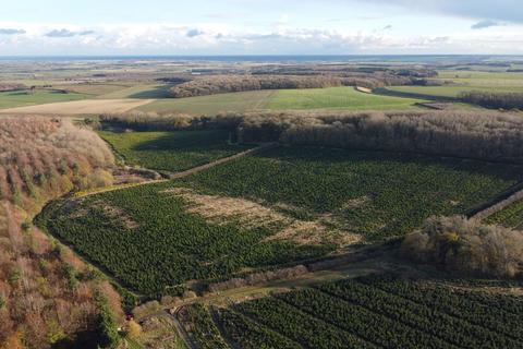 undefined, Lot 3 - Home Farm, London Road, Tathwell, Louth