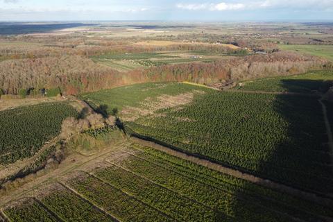 undefined, Lot 3 - Home Farm, London Road, Tathwell, Louth