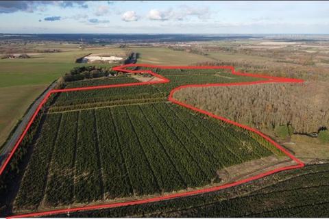 undefined, Lot 1 - Home Farm, London Road, Tathwell, Louth