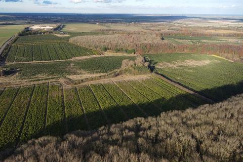 undefined, Home Farm, London Road, Tathwell, Louth