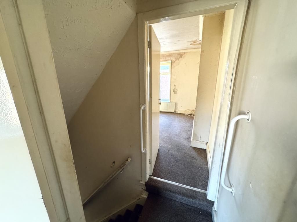 Img 0665