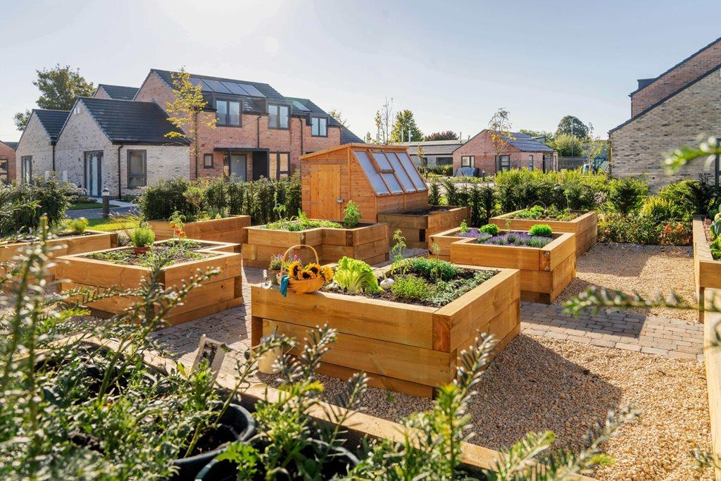 Gardening area with raised beds and potting shed