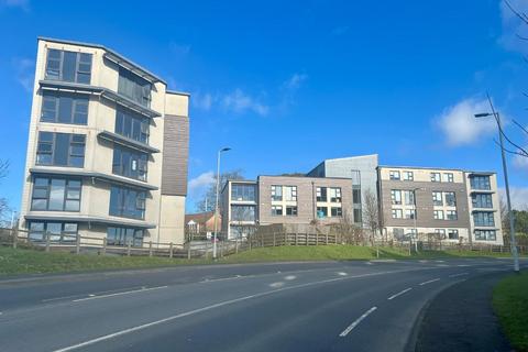 7 bedroom flat to rent, 2-4, Plymbridge Lane (1), Plymouth PL6