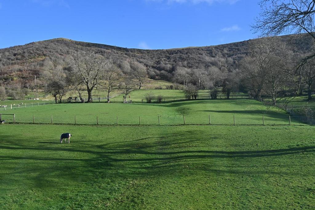 Countryside Views