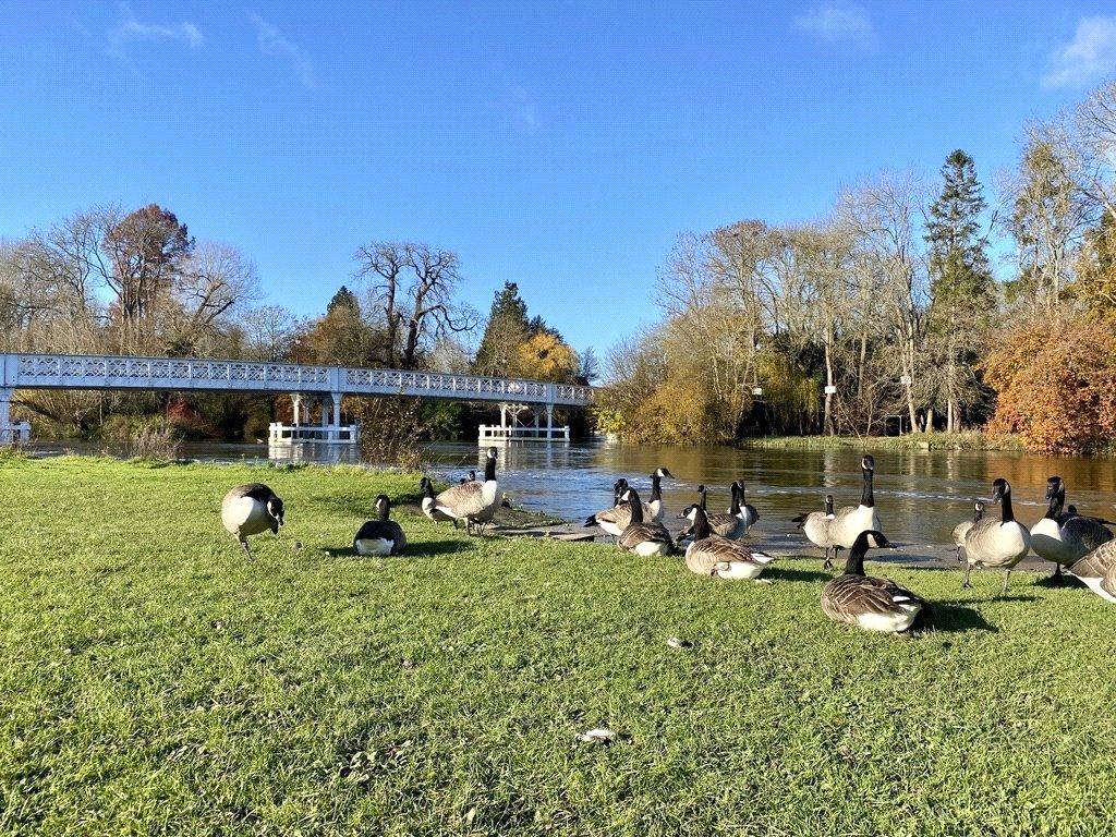 River Thames