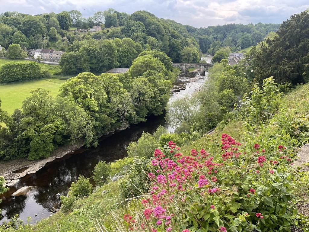 View From Castle Walk