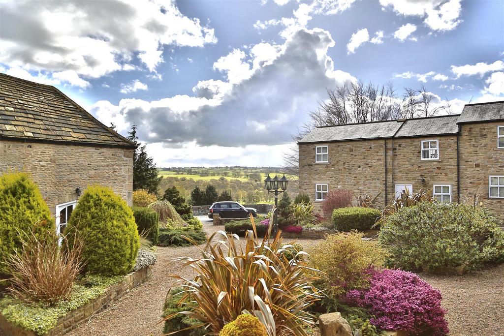 Shared Gravelled Garden