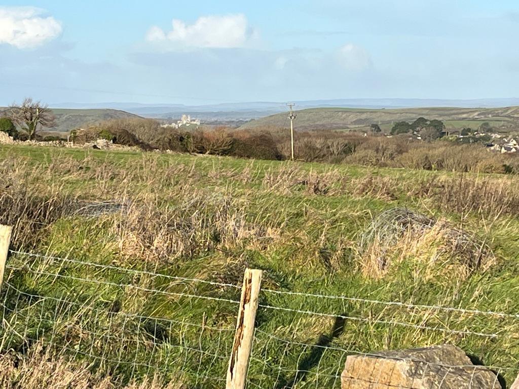 View to Corfe Castle and beyond