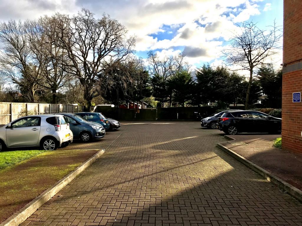 Photo 11