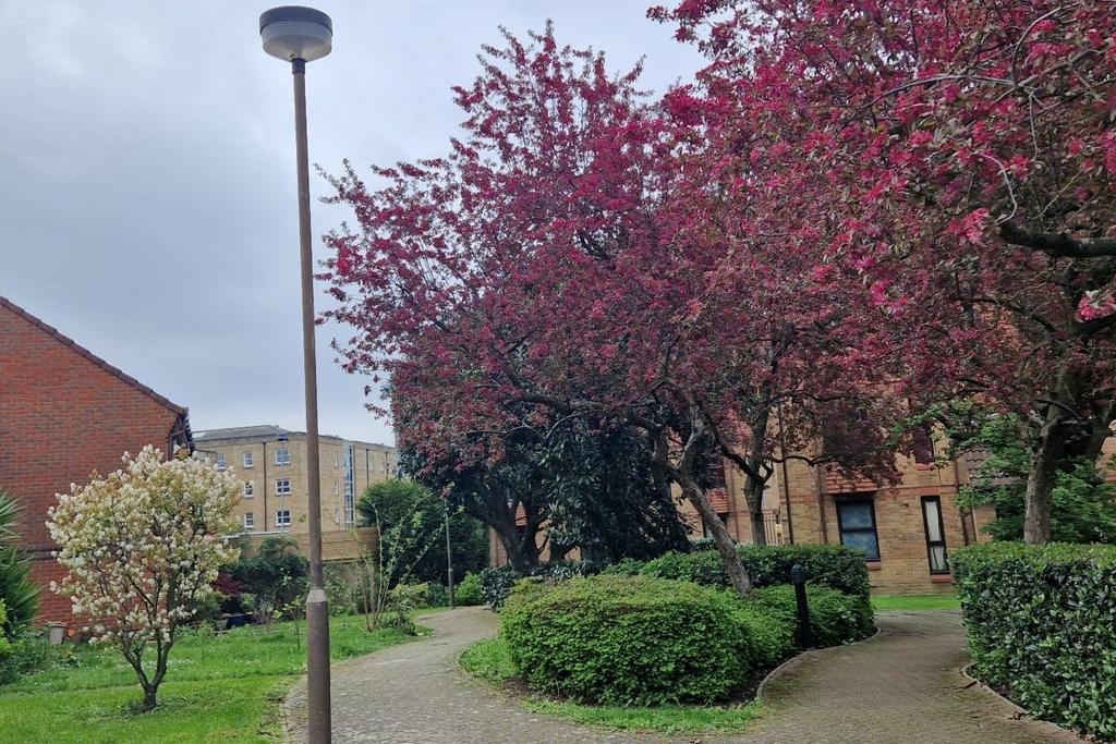 Communal garden