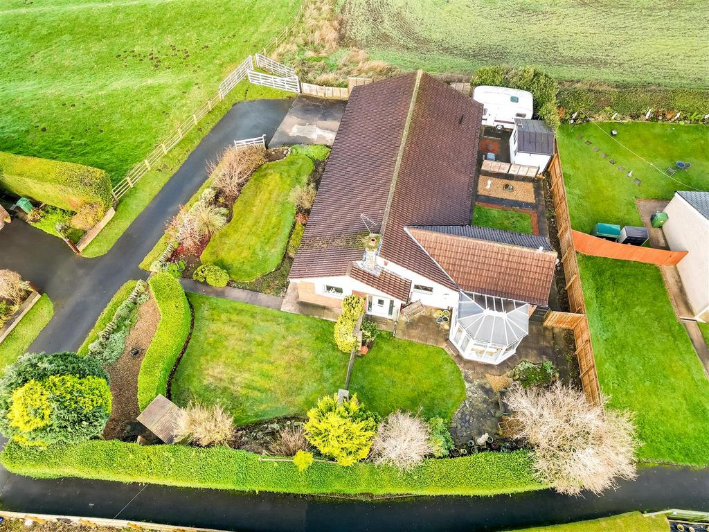 DJI 0022.jpg
